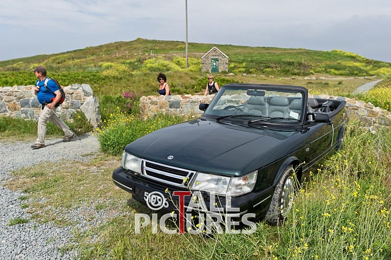 Saab-36 - HARRISON AUTOMOTIVE