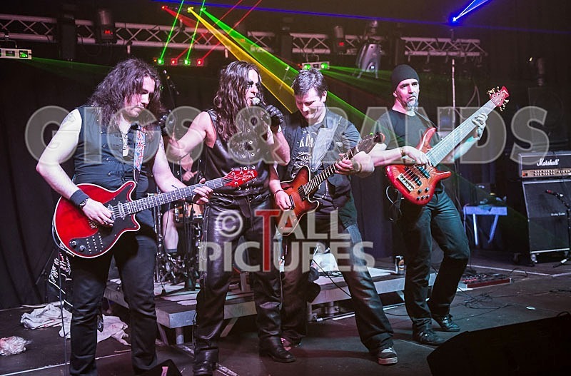 Gallus Cooper-60 - GALLUS COOPER