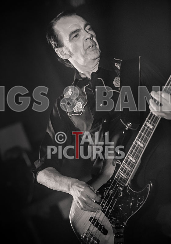 The Electric Shakes-3 - THE ELECTRIC SHAKES