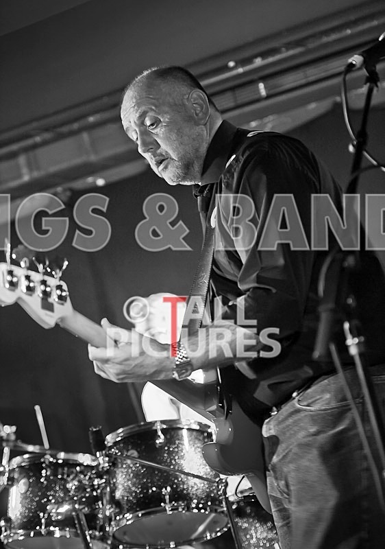 Wild Card-86 - WILD CARD