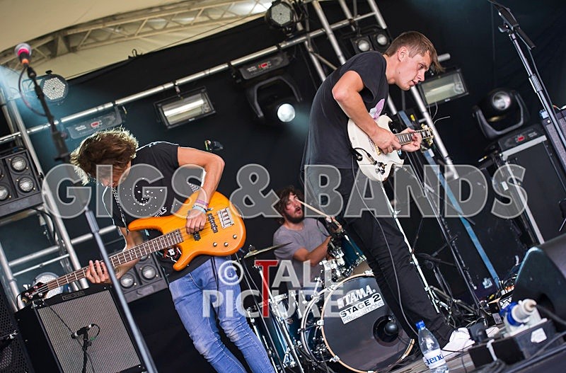 Pirate Video Company-2 - PIRATE VIDEO COMPANY