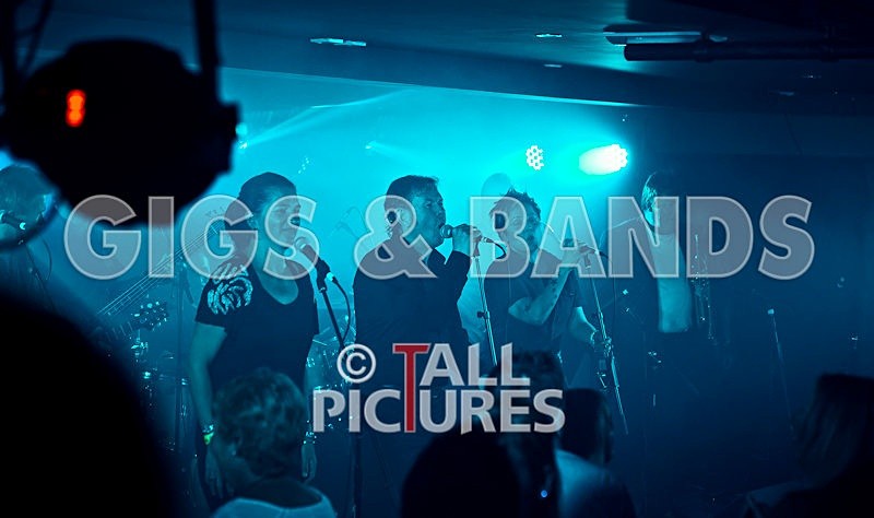 King Rat and the Soul Cats-135 - KING RAT & THE SOUL CATS