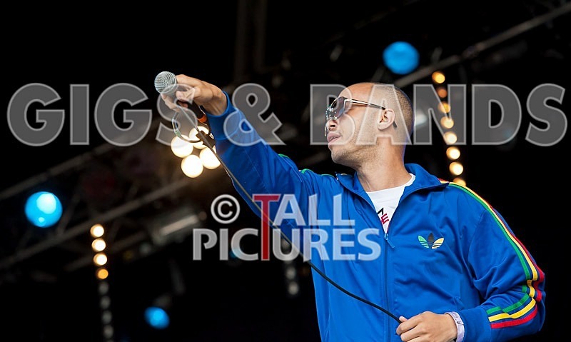 The Beat-49 - THE BEAT