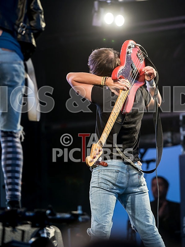 The Cribs-32 - THE CRIBS