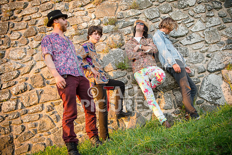 Surfin Birds-11 - SURFIN' BIRDS