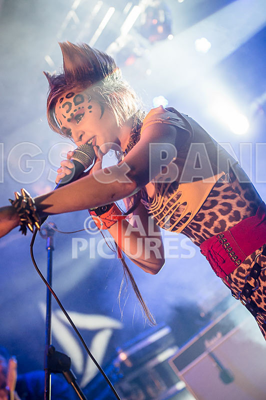 Pussycat and the Dirty Johnsons-64 - PUSSYCAT AND THE DIRTY JOHNSONS