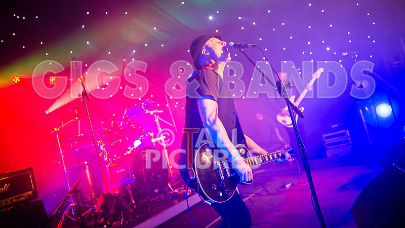 Peppered Ant Legs-204 - PEPPERED ANT LEGS