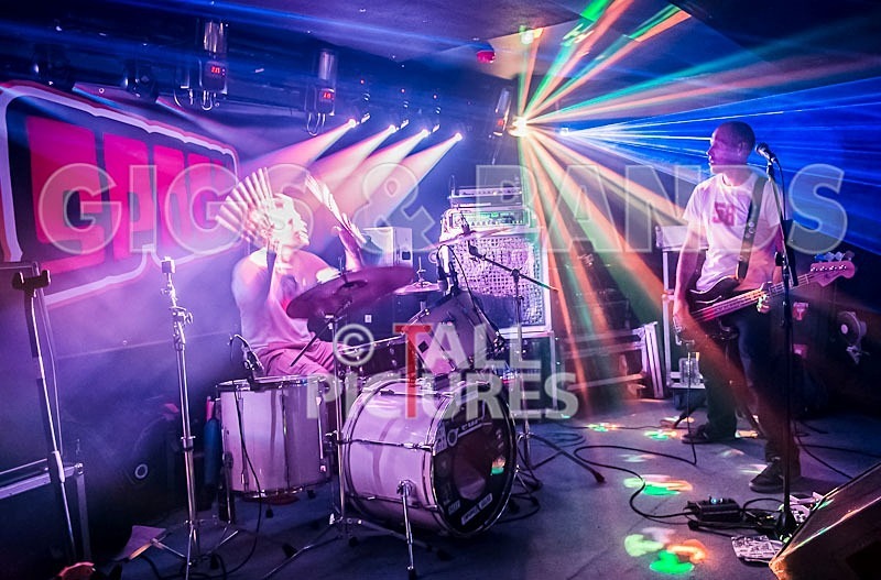 Falenizzahorsepower-85 - FALENIZZAHORSEPOWER