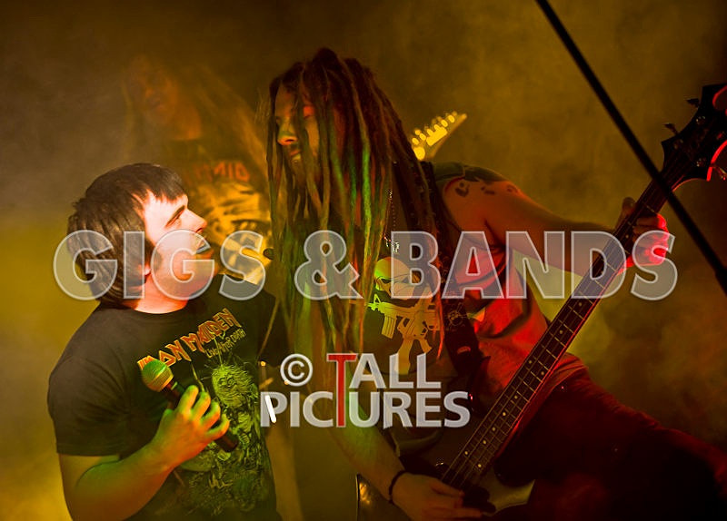 Maiden Guernsey-74 - MAIDEN GUERNSEY at RoA-2