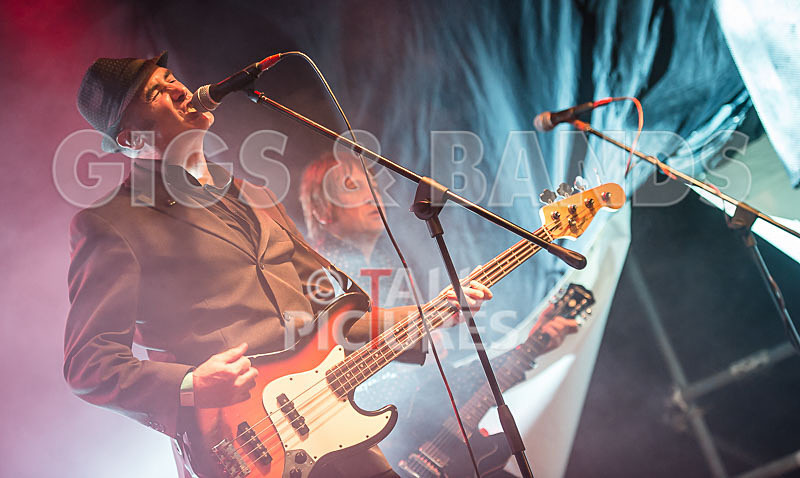 The November Five-31 - THE NOVEMBER FIVE