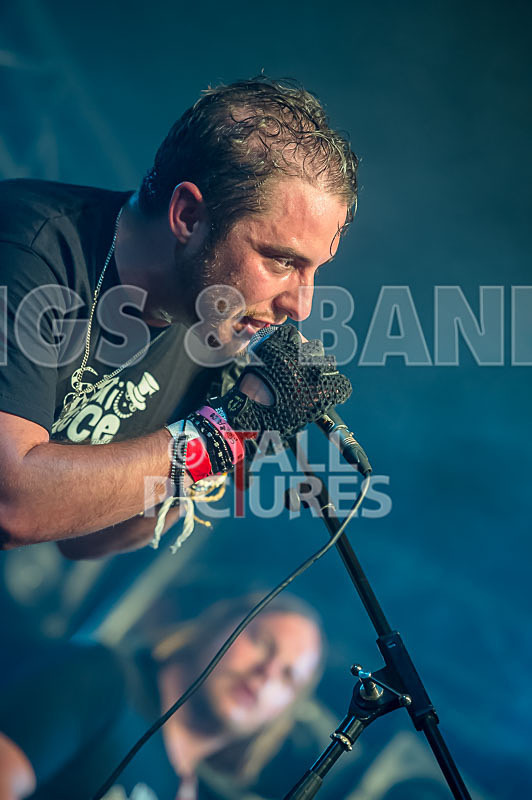 FlashMob-73 - FLASHMOB