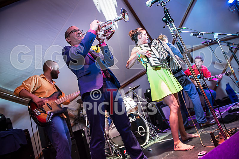 Molotov Jukebox-17 - MOLOTOV JUKEBOX