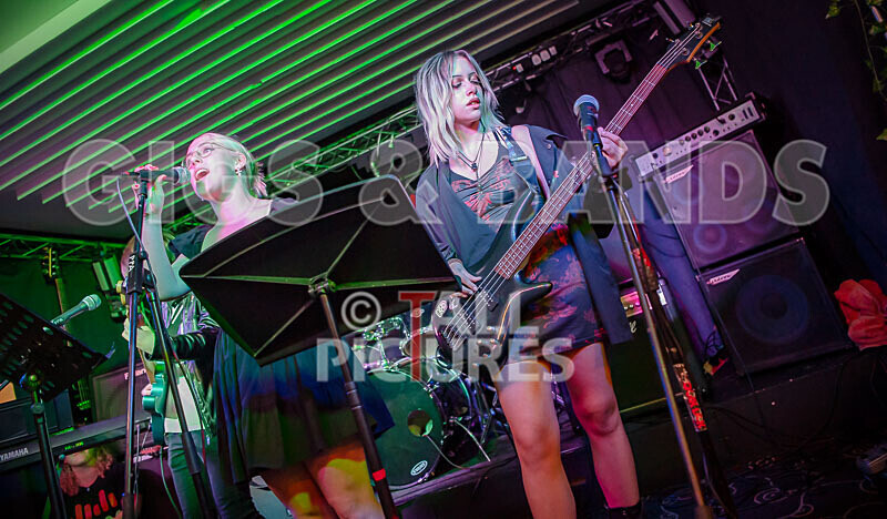 Road Kill Rubber Duckies-17 - ROAD KILL RUBBER DUCKIES