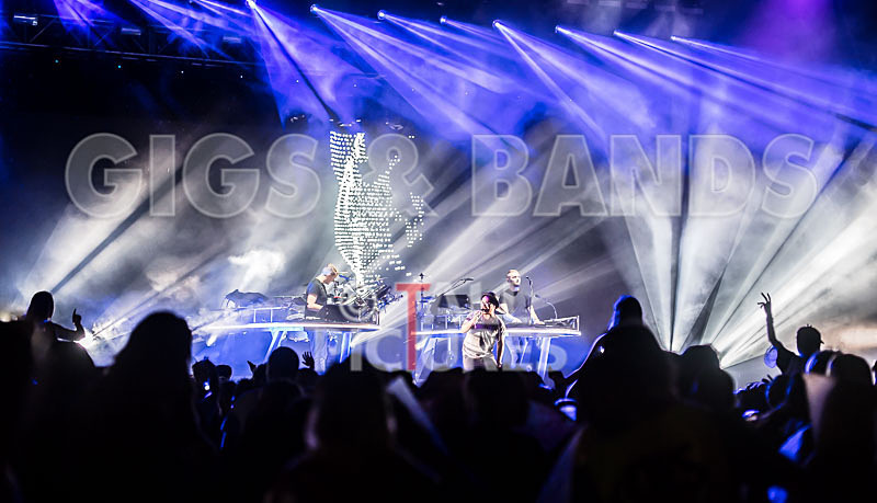 Disclosure-15 - DISCLOSURE