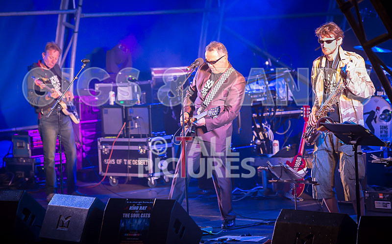 Sons of the Desert-305 - SONS OF THE DESERT