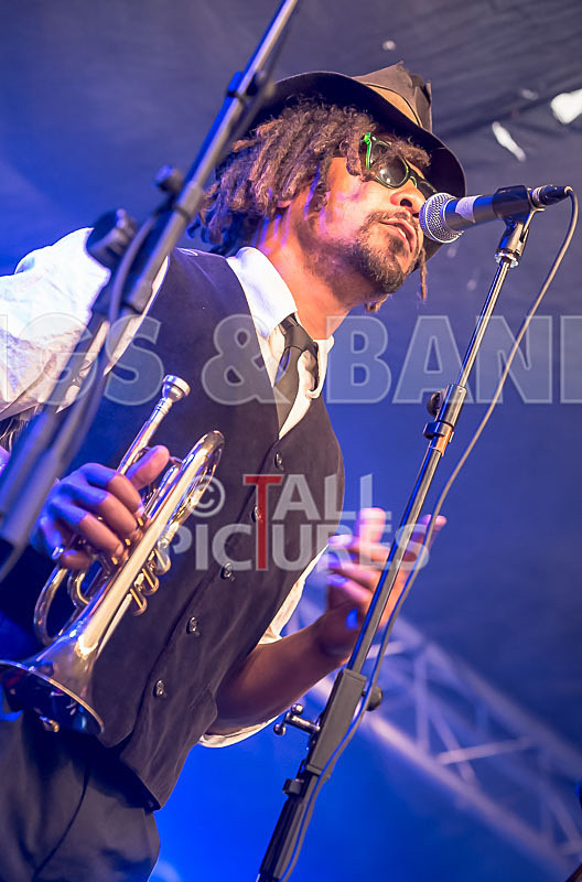 The Recks-434 - THE RECKS