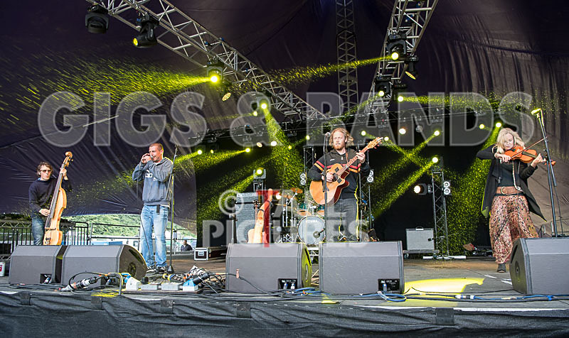 Buffalo Huddleston-370 - BUFFALO HUDDLESTON