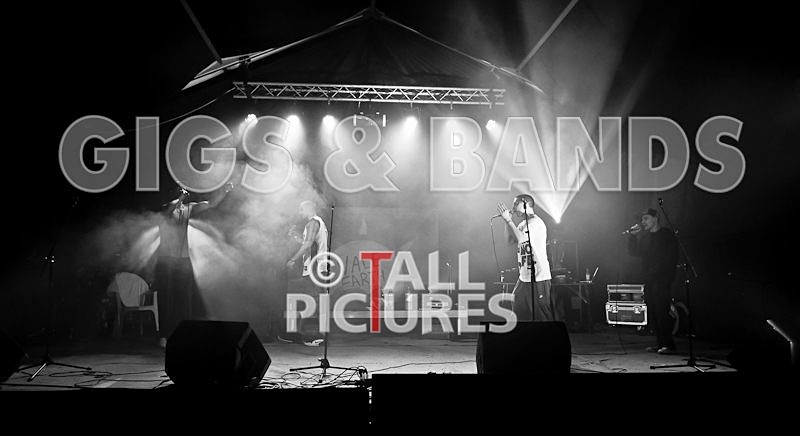 Asylum Seekas-9 - ASYLUM SEEKAS AT IVY CASTLE