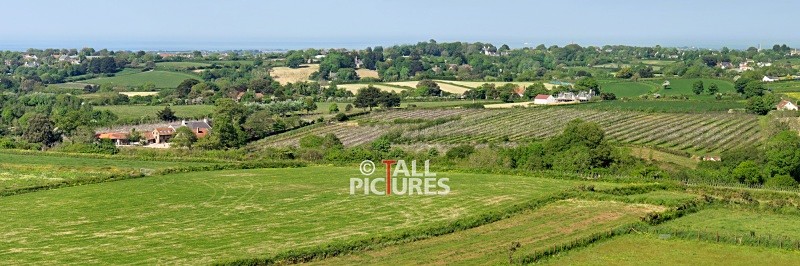 Rocquettes Cider Orchard-1 - COMMERCIAL PANORAMAS