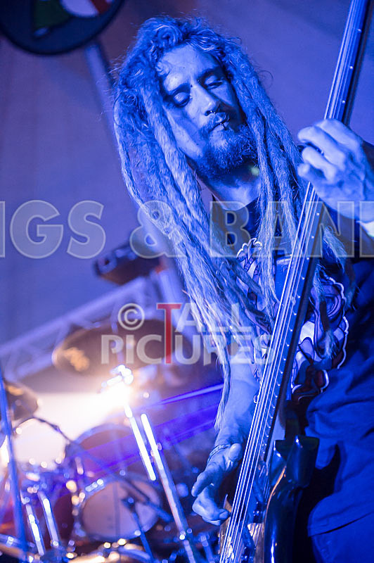 Distant Shores-103 - DISTANT SHORES