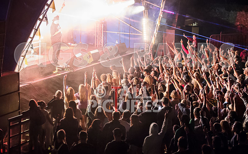 Vale Earth Fair 2017_SCENE-30 - VALE EARTH FAIR 2017_THE SCENE