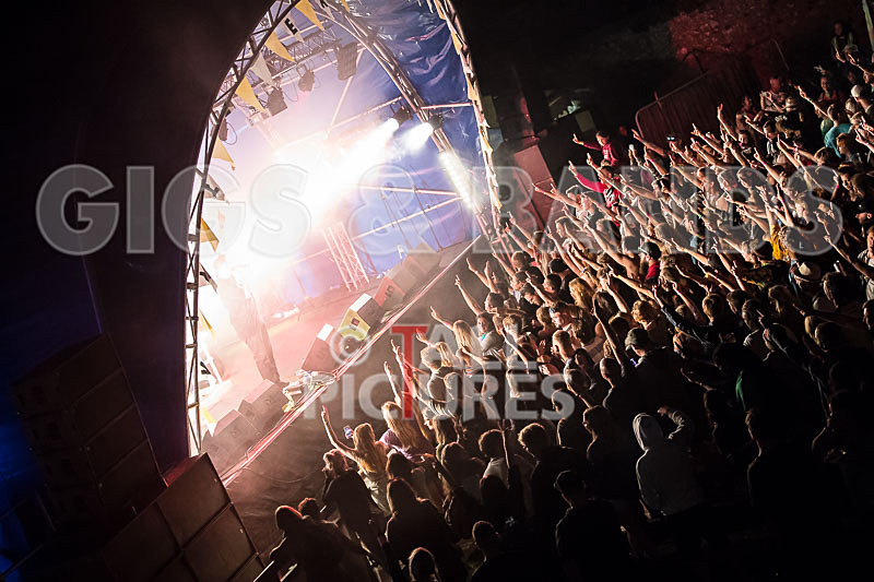 Vale Earth Fair 2017_SCENE-47 - VALE EARTH FAIR 2017_THE SCENE