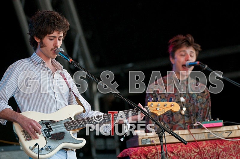 Golden Silvers-3 - GOLDEN SILVERS