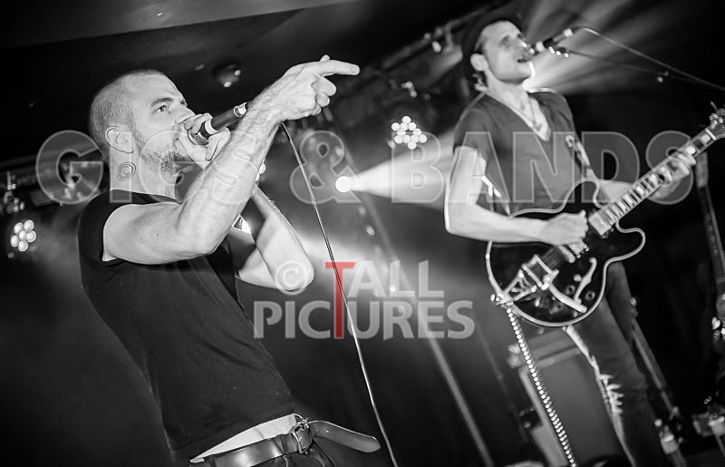 Heymoonshaker-2 - HEYMOONSHAKER