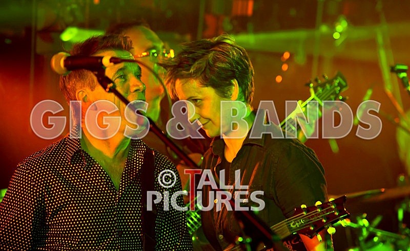 King Rat and the Soul Cats-78 - KING RAT & THE SOUL CATS