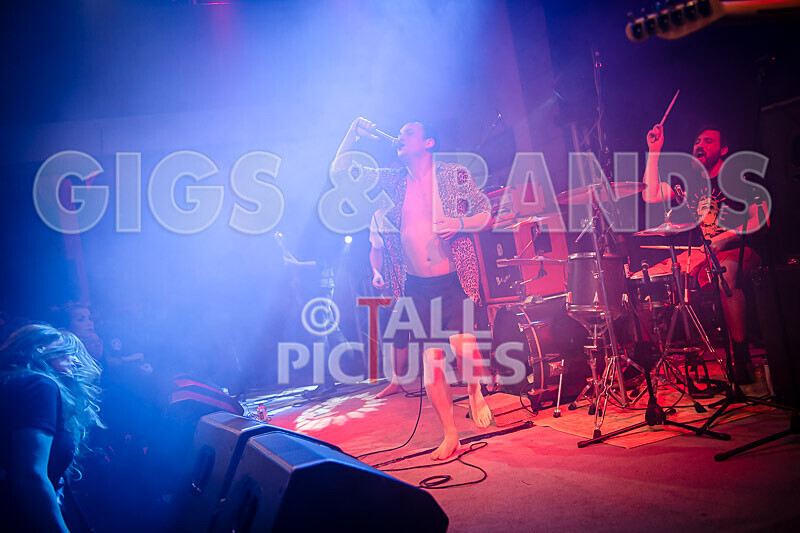 Pigsx7-93 - PIGS PIGS PIGS PIGS PIGS PIGS PIGS