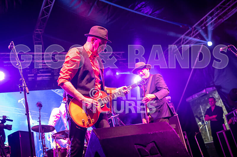 Ruts DC-29 - RUTS DC