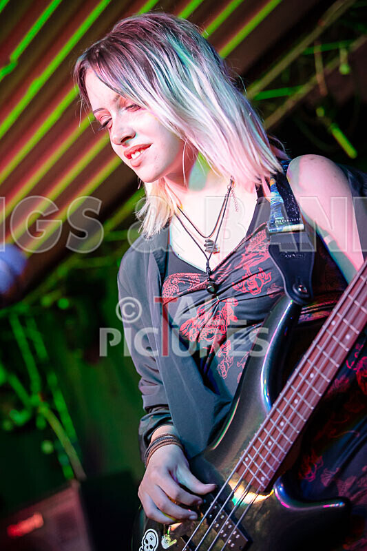 Road Kill Rubber Duckies-6 - ROAD KILL RUBBER DUCKIES