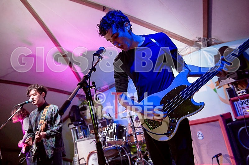 Last Dinosaurs-24 - LAST DINOSAURS