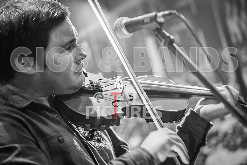 Blue Mountains-76 - BLUE MOUNTAINS