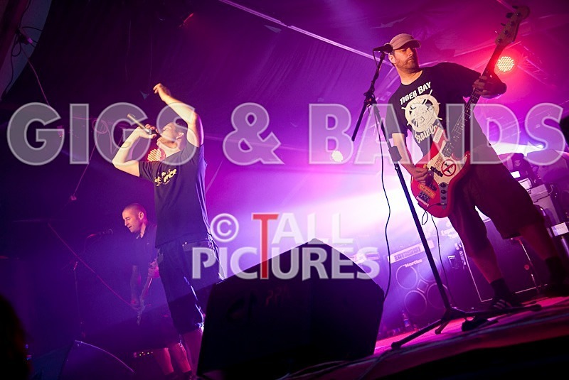 Spunge-43 - [spunge]