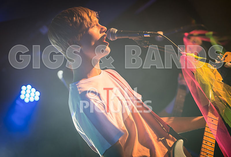 Cosmic Fish-7 - COSMIC FISH