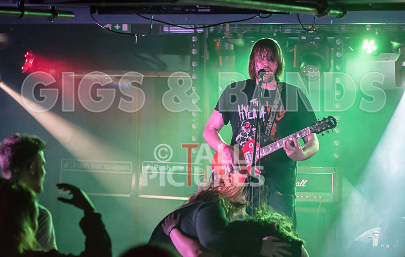 To the Woods-433 - TO THE WOODS