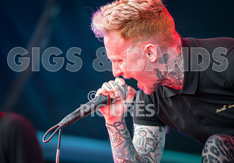 Frank Carter  The Rattlesnakes-56 - FRANK CARTER & THE RATTLESNAKES