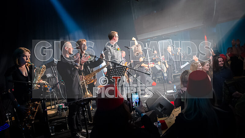 King Rat  the Soul Cats-487 - KING RAT & THE SOUL CATS