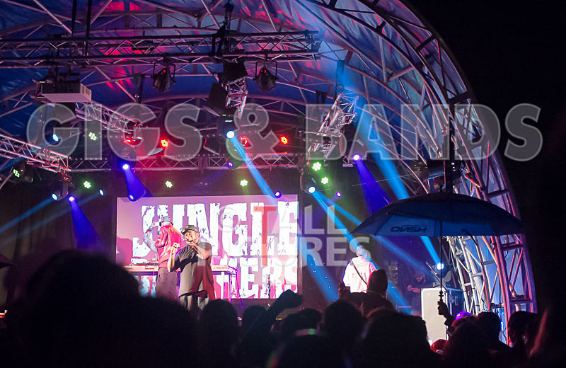 Vale Earth Fair 2015_Atmosphere-63 - VALE EARTH FAIR 2015_THE ATMOSPHERE