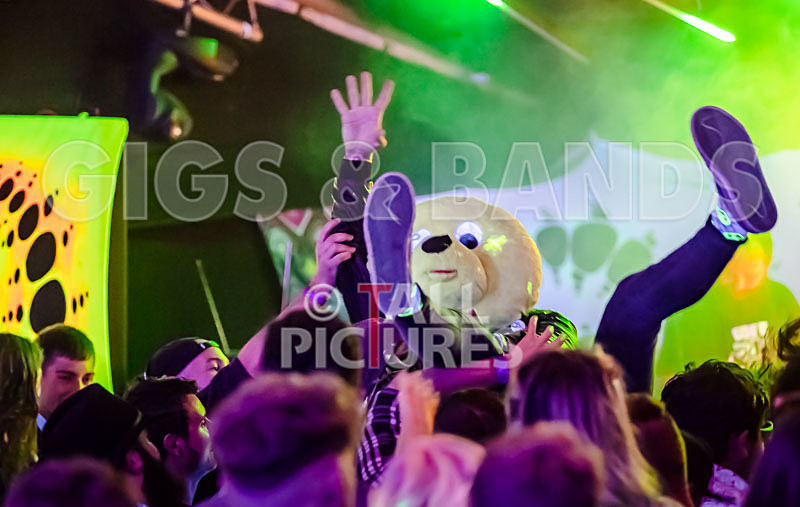 Mechanical Lobster-2 - MECHANICAL LOBSTER