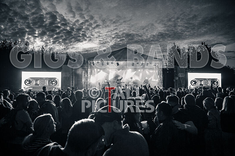 Fade2Grey-416 - FADE2GREY