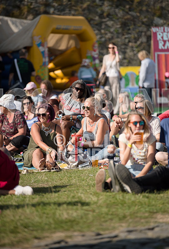 Vale Earth Fair 2017_PRESS EDIT-33 - VALE EARTH FAIR 2017_THE PRESS EDIT