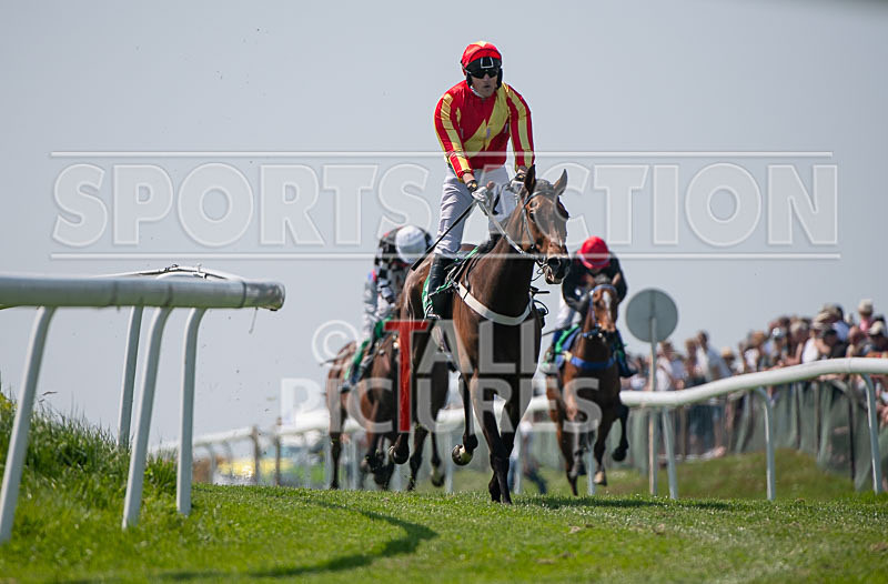 Guernsey Race Club Horse Racing 2018-10 - GUERNSEY RACE CLUB BANK HOLIDAY 2018