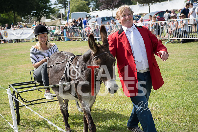 Donkey Derby_2016-26 - LIONS CLUB DONKEY DERBY 2016