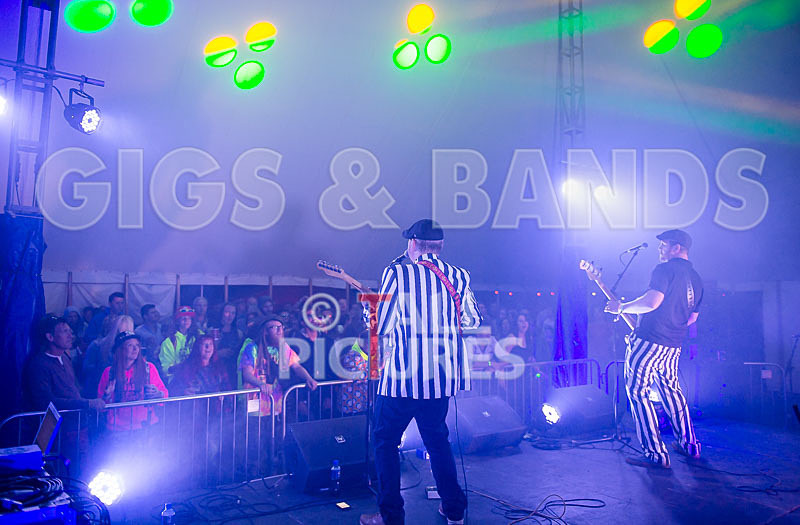 The Smooth Hounds-17 - THE SMOOTH HOUNDS