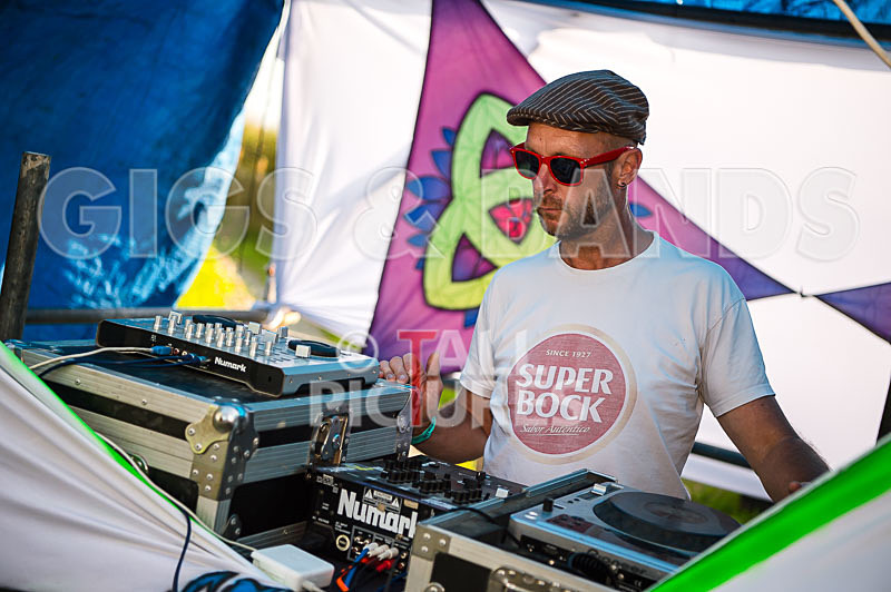 Vale Earth Fair 2017_SCENE-97 - VALE EARTH FAIR 2017_THE SCENE