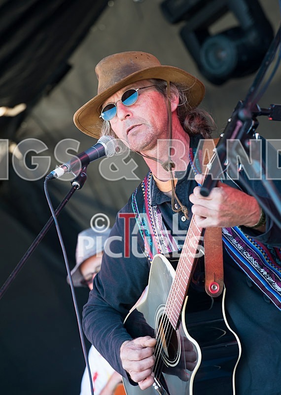 Big Sheep-12 - BIG SHEEP