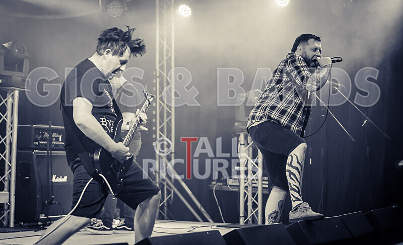 Granite Wolf-74 - GRANITE WOLF