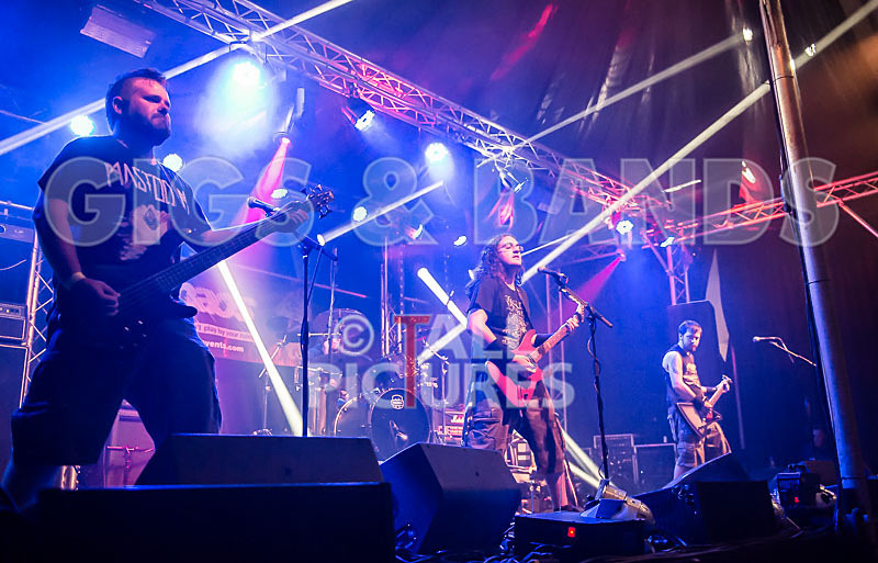 Demise of Sanity-31 - DEMISE OF SANITY